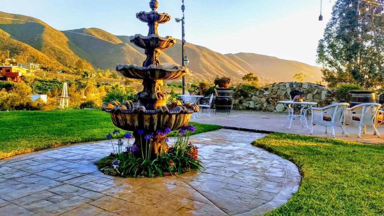 Vina Calabria Bed and Breakfast Valle de Guadalupe Exteriör bild