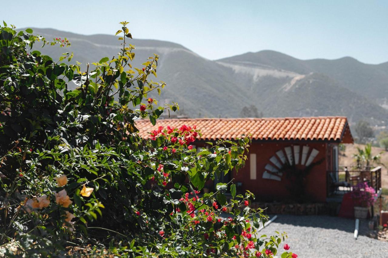 Vina Calabria Bed and Breakfast Valle de Guadalupe Exteriör bild