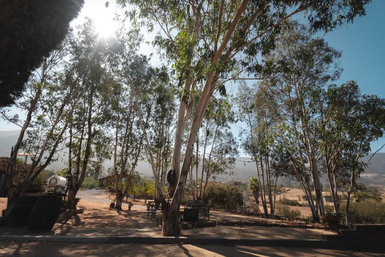 Vina Calabria Bed and Breakfast Valle de Guadalupe Exteriör bild