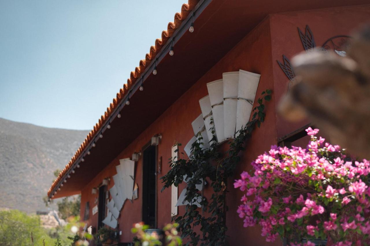 Vina Calabria Bed and Breakfast Valle de Guadalupe Exteriör bild