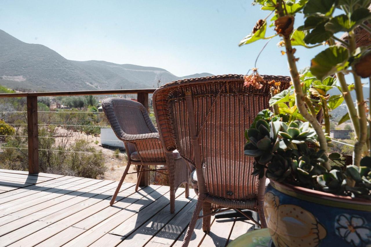 Vina Calabria Bed and Breakfast Valle de Guadalupe Exteriör bild