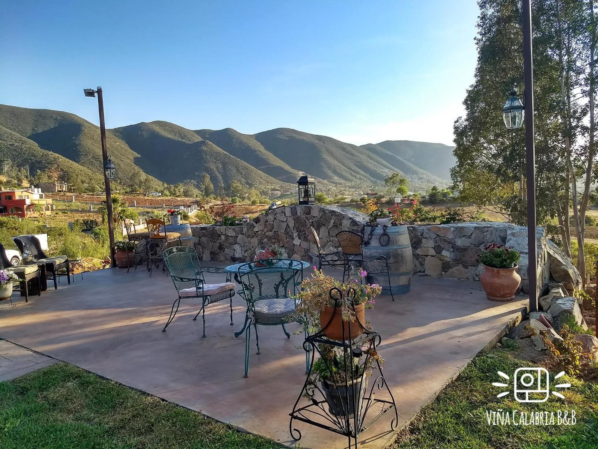 Vina Calabria Bed and Breakfast Valle de Guadalupe Exteriör bild